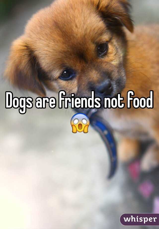 Dogs are friends not food 😱