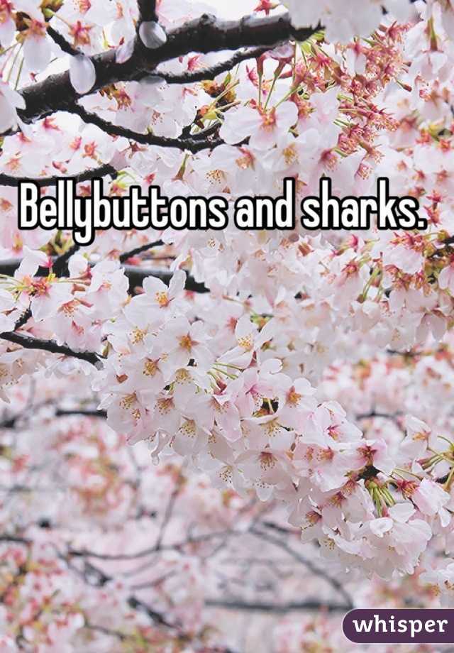 Bellybuttons and sharks. 