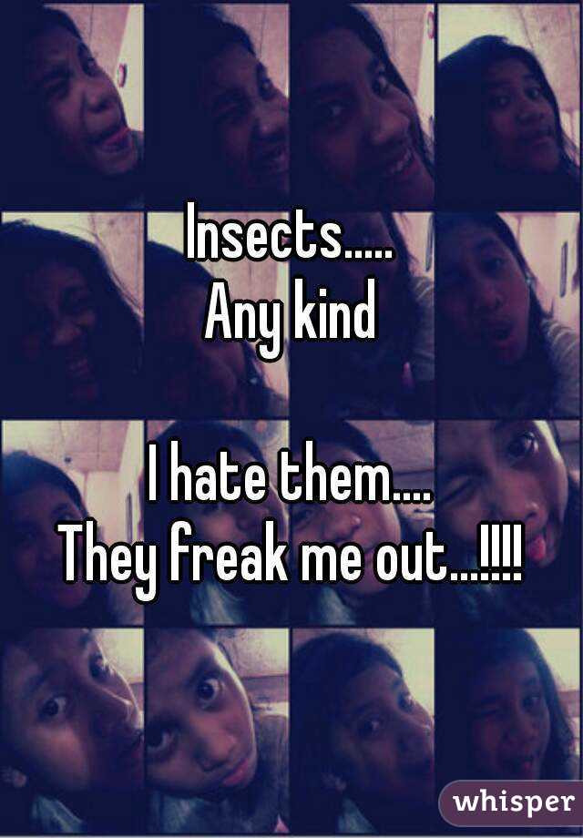 Insects.....
Any kind

I hate them....
They freak me out...!!!!