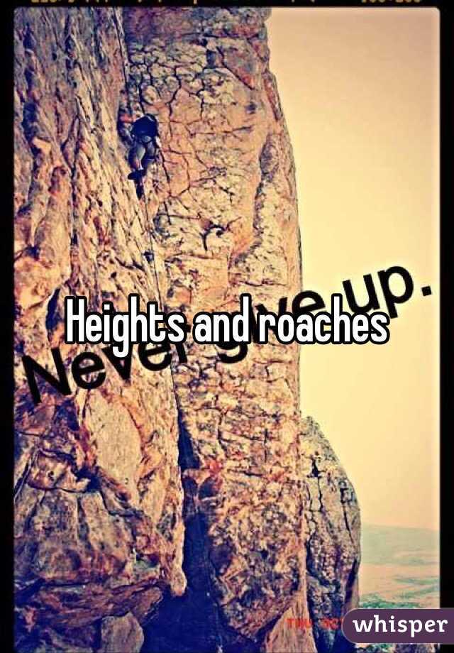 Heights and roaches 