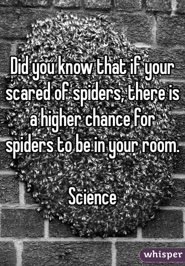 Did you know that if your scared of spiders, there is a higher chance for spiders to be in your room.

Science