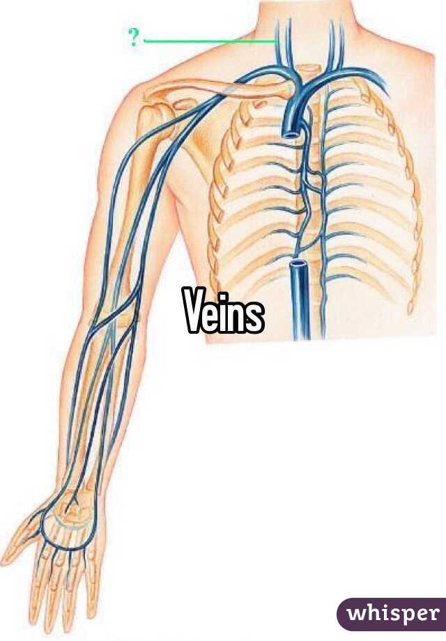 Veins 