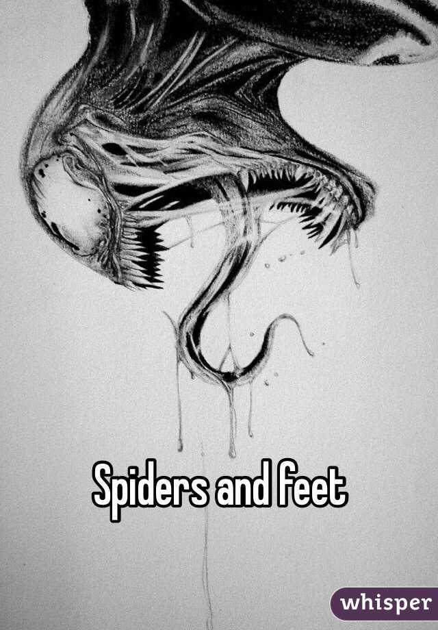 Spiders and feet