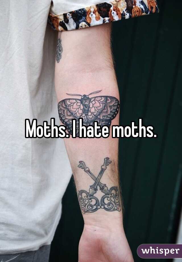 Moths. I hate moths. 