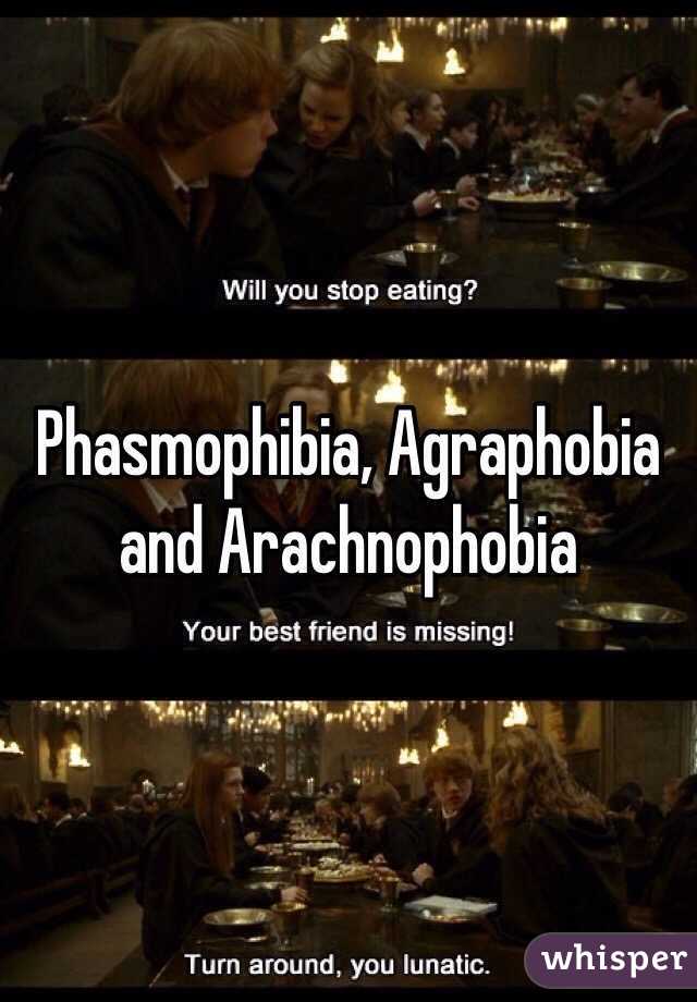 Phasmophibia, Agraphobia and Arachnophobia 