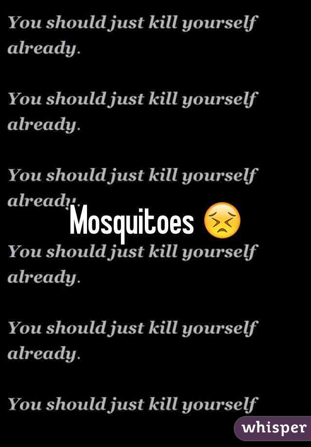 Mosquitoes 😣