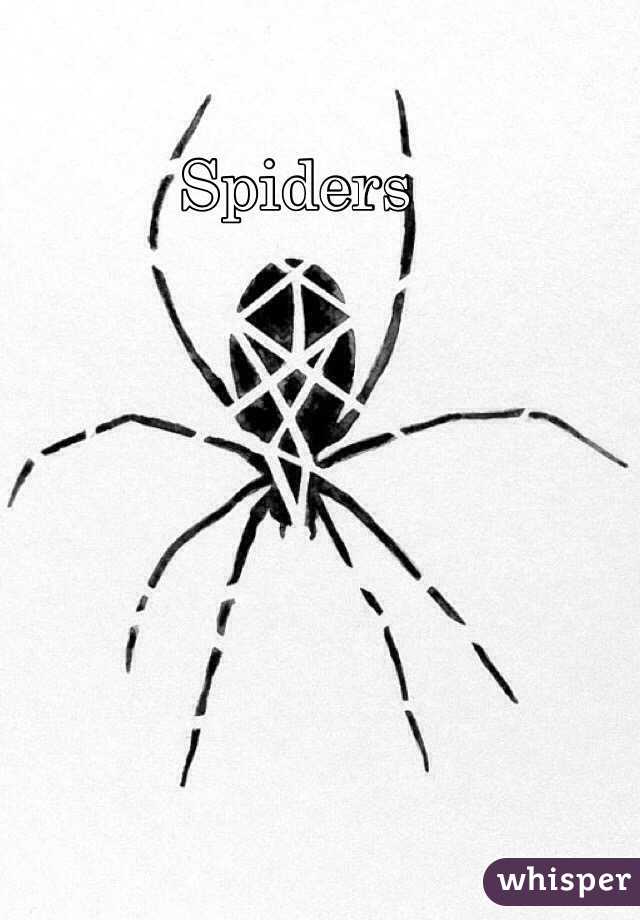 Spiders