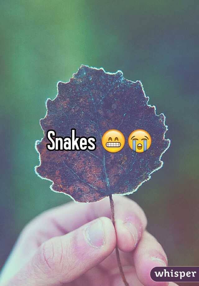 Snakes 😁😭