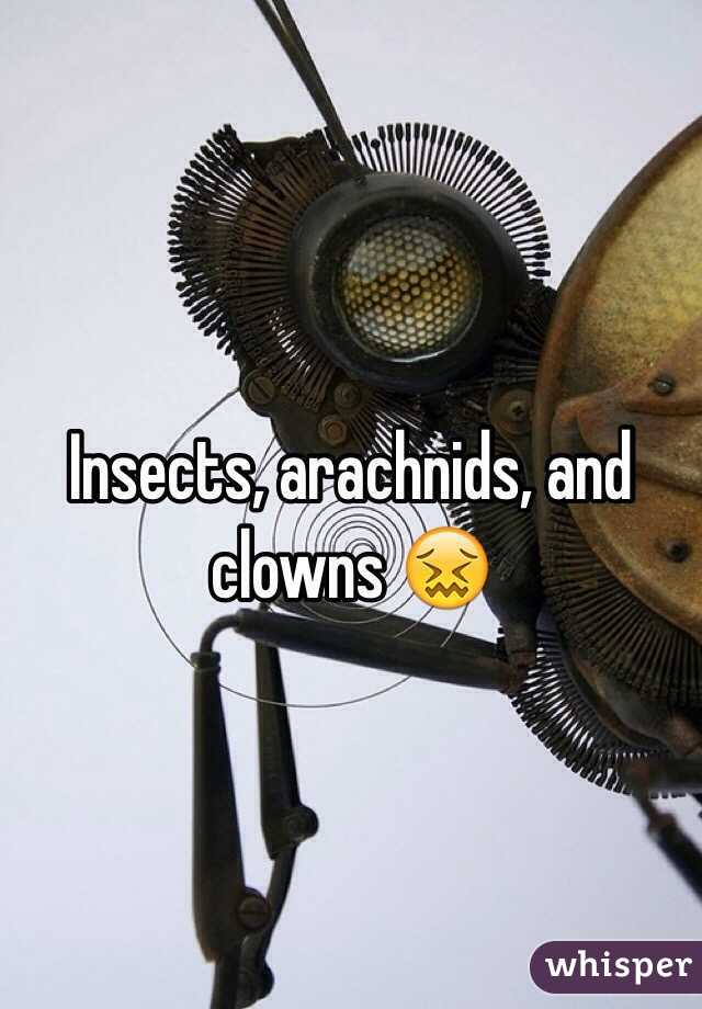 Insects, arachnids, and clowns 😖