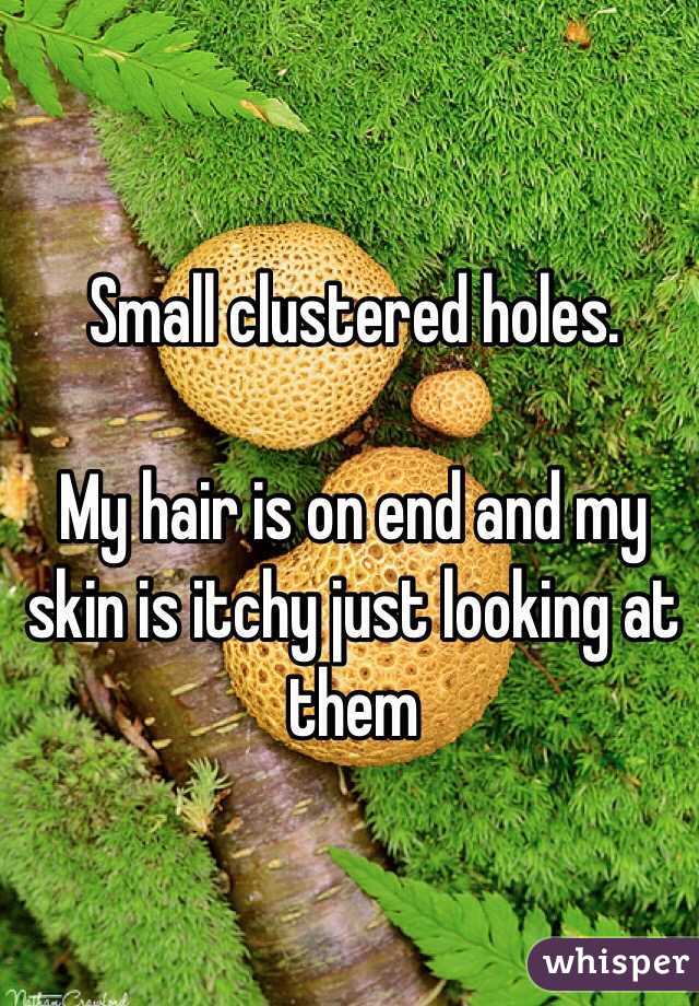 Small clustered holes. 

My hair is on end and my skin is itchy just looking at them