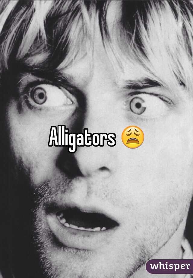 Alligators 😩