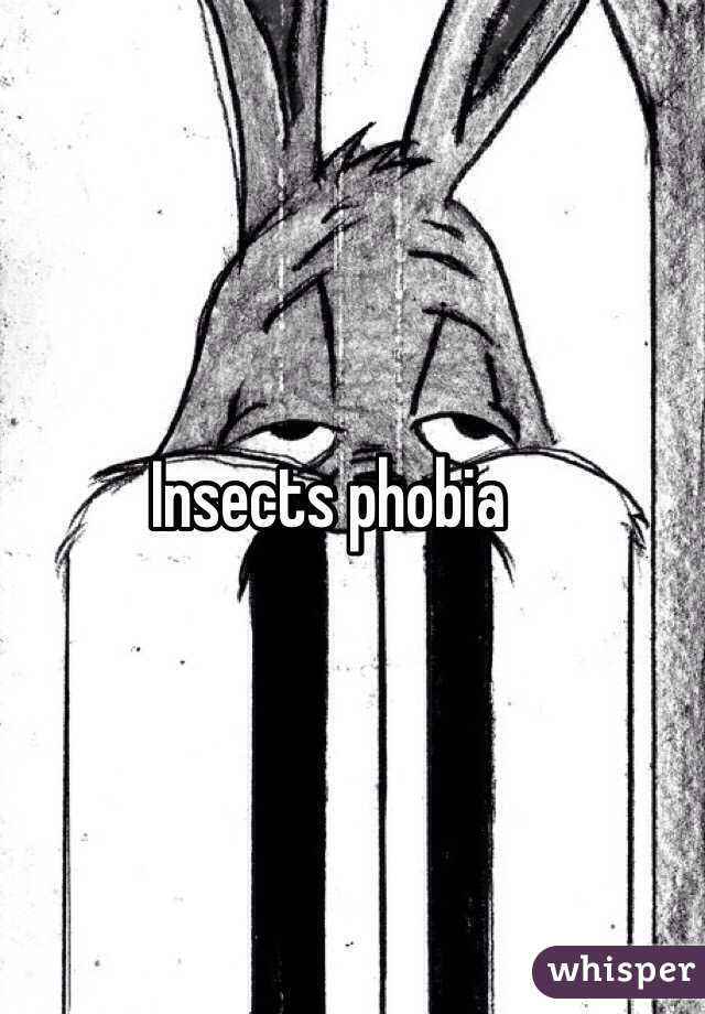 Insects phobia 