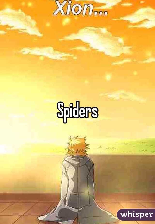 Spiders 
