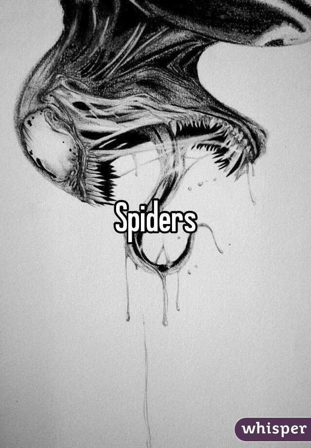 Spiders