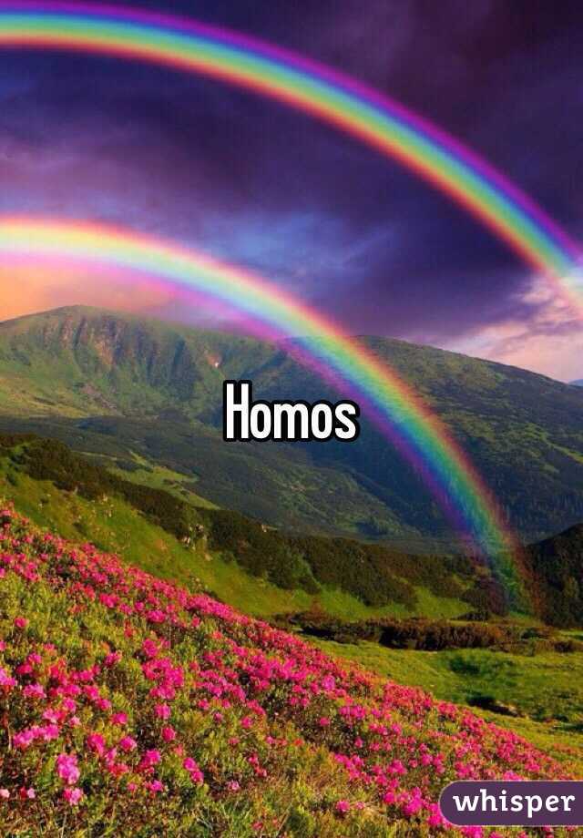 Homos