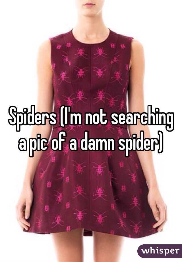 Spiders (I'm not searching a pic of a damn spider) 