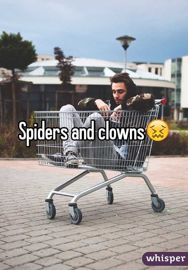 Spiders and clowns😖