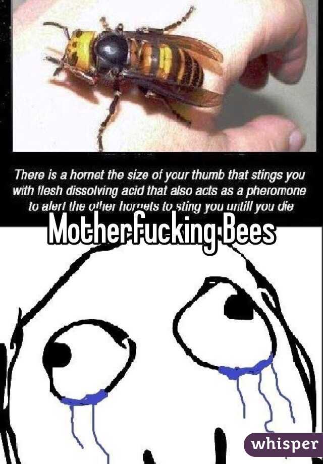 Motherfucking Bees