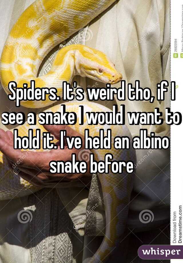 Spiders. It's weird tho, if I see a snake I would want to hold it. I've held an albino snake before 