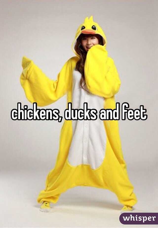 chickens, ducks and feet