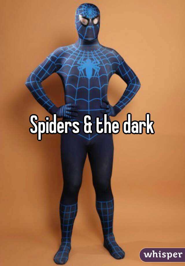 Spiders & the dark