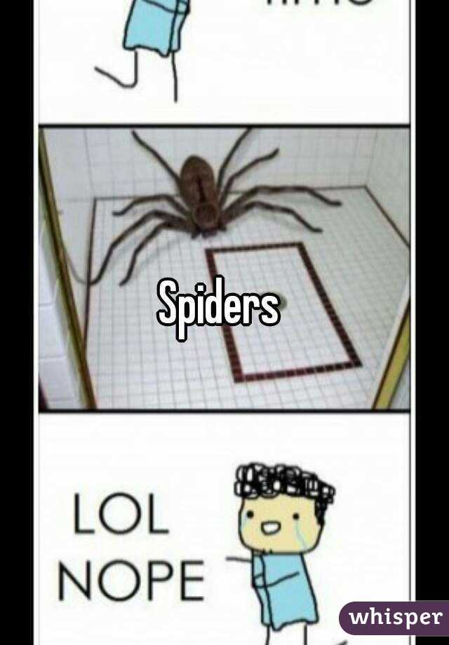 Spiders 