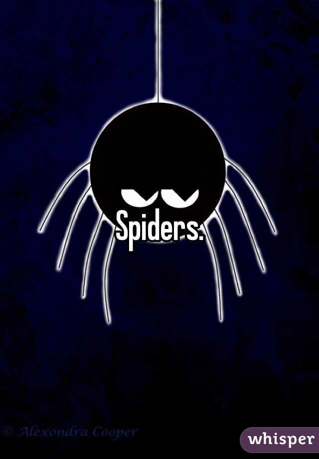 Spiders.