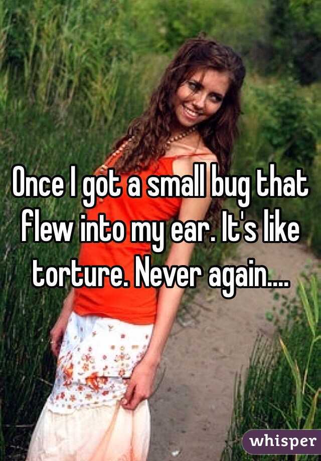 Once I got a small bug that flew into my ear. It's like torture. Never again....