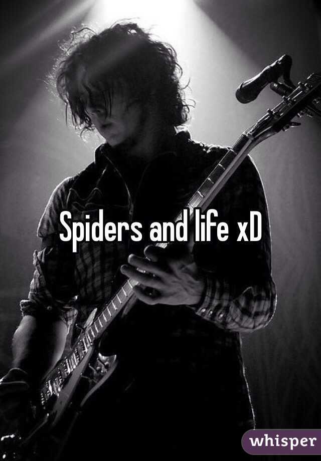 Spiders and life xD 