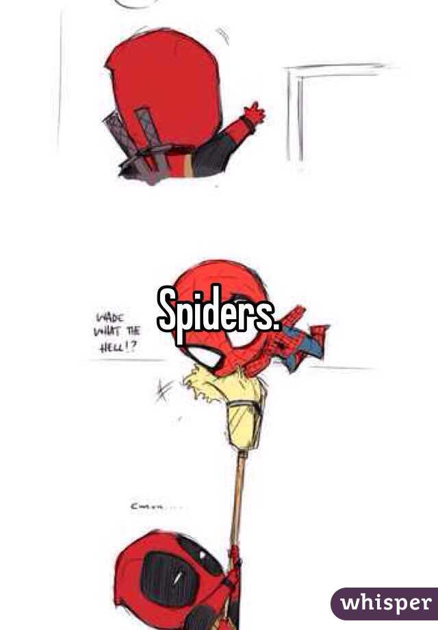 Spiders. 