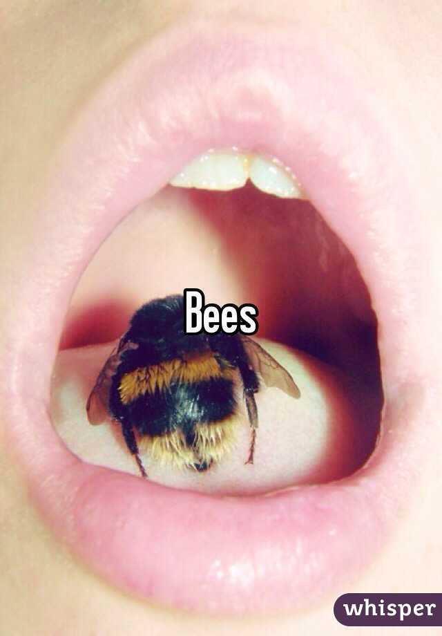 Bees