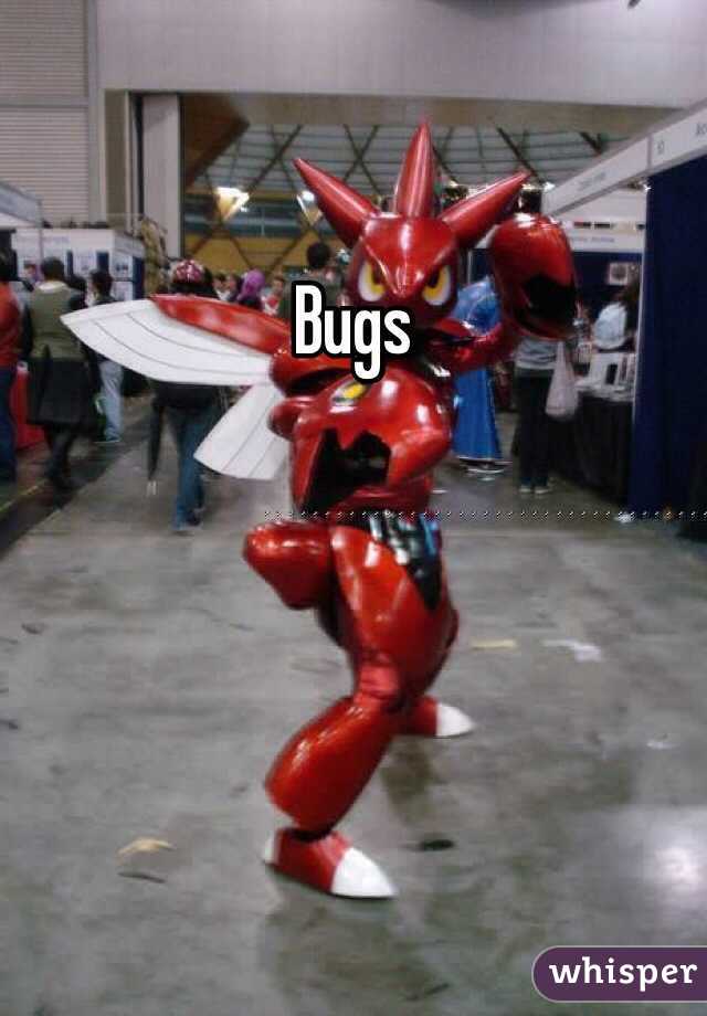 Bugs