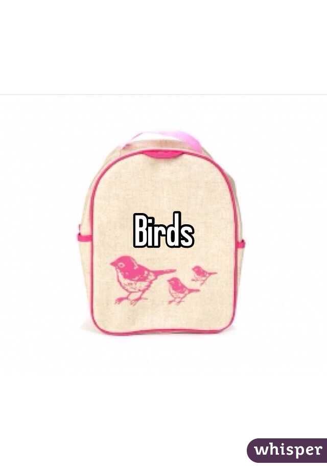 Birds