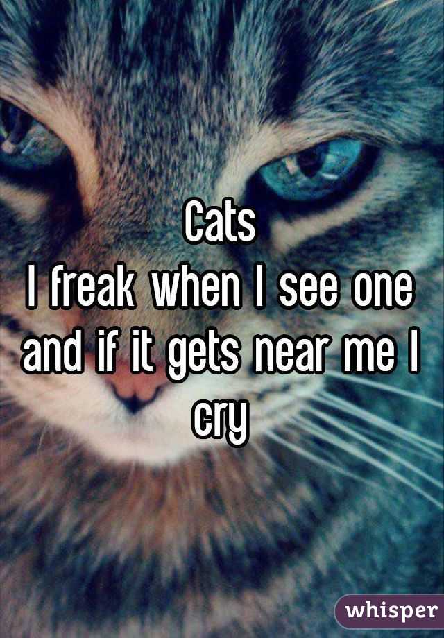 Cats
I freak when I see one and if it gets near me I cry