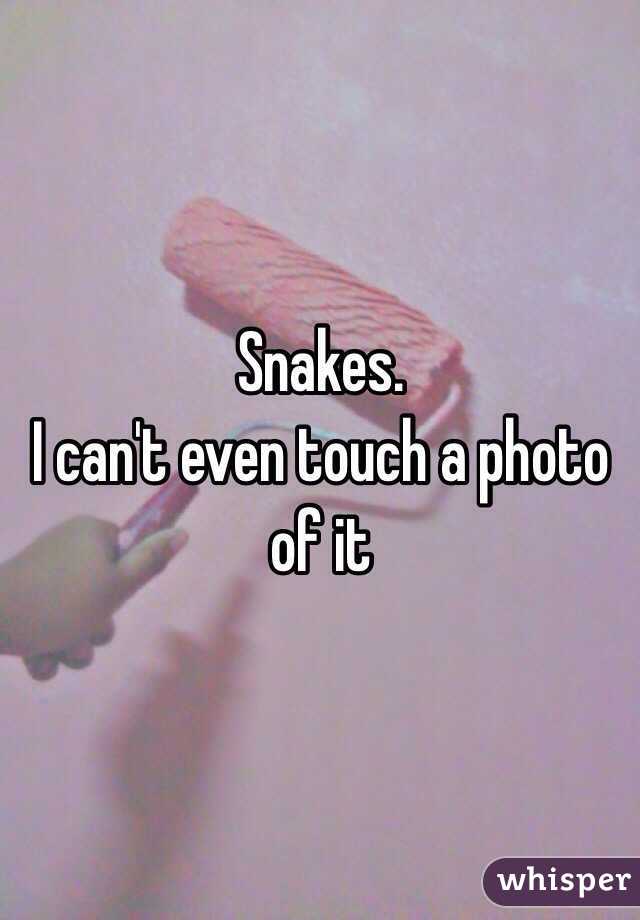 Snakes.
I can't even touch a photo of it