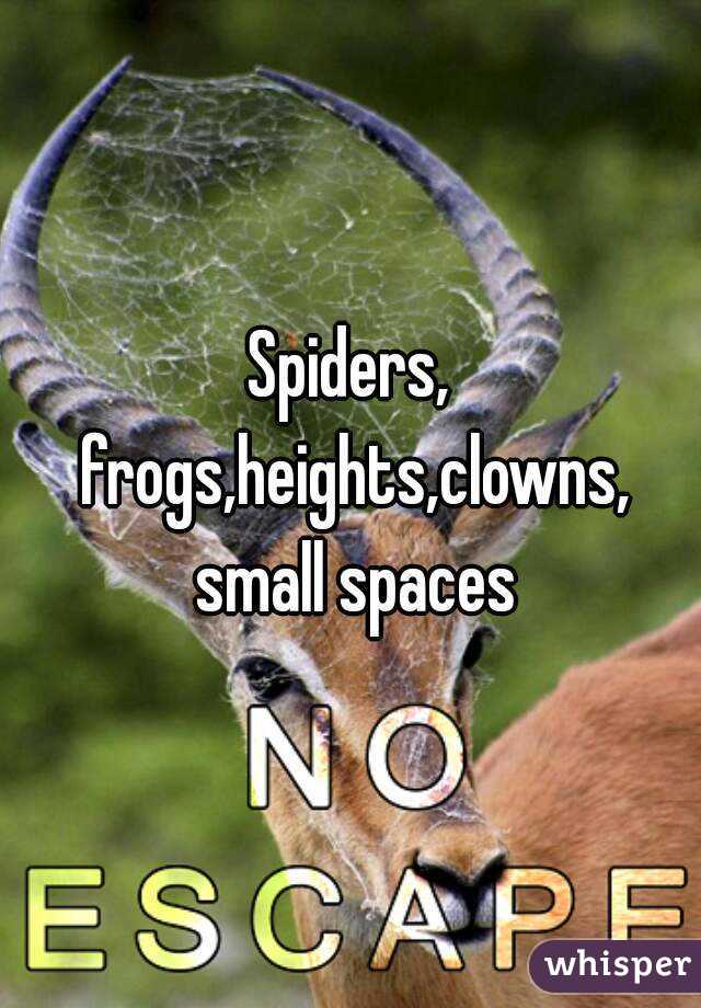 Spiders, frogs,heights,clowns, small spaces