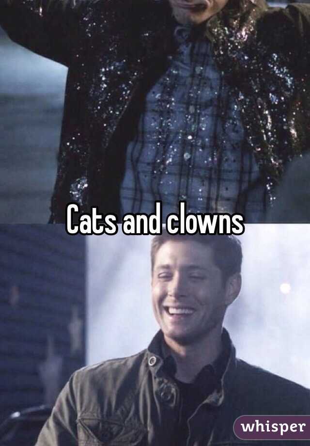 Cats and clowns