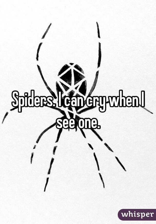 Spiders. I can cry when I see one. 