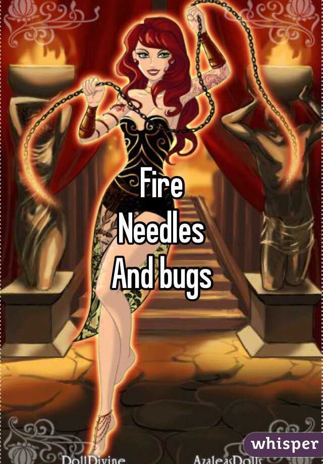 Fire
Needles 
And bugs