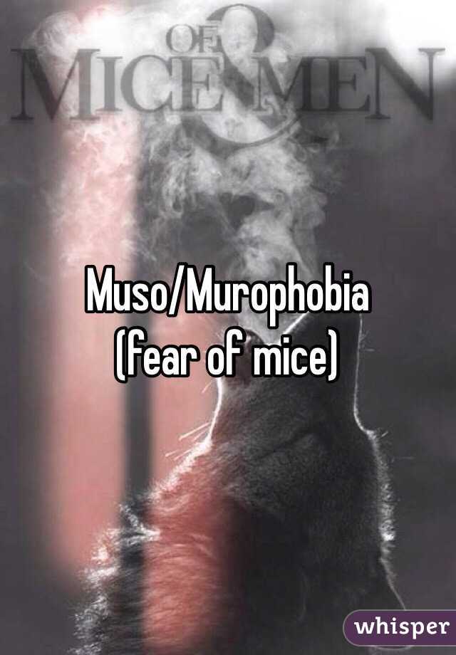 Muso/Murophobia
(fear of mice)