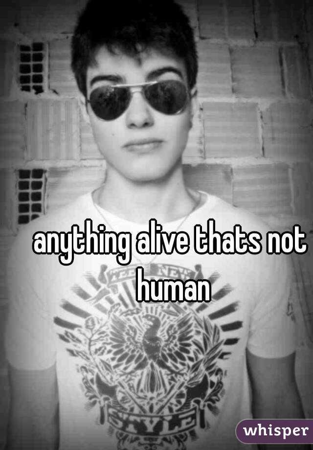 anything alive thats not human