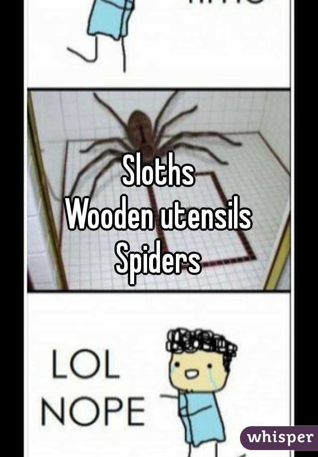 Sloths
Wooden utensils
Spiders
