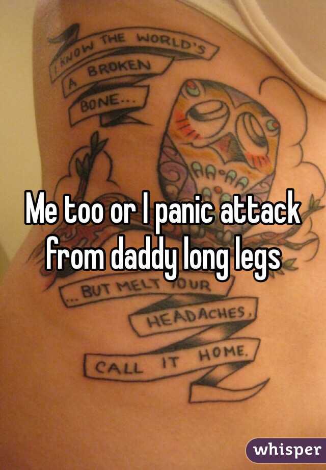 Me too or I panic attack from daddy long legs 