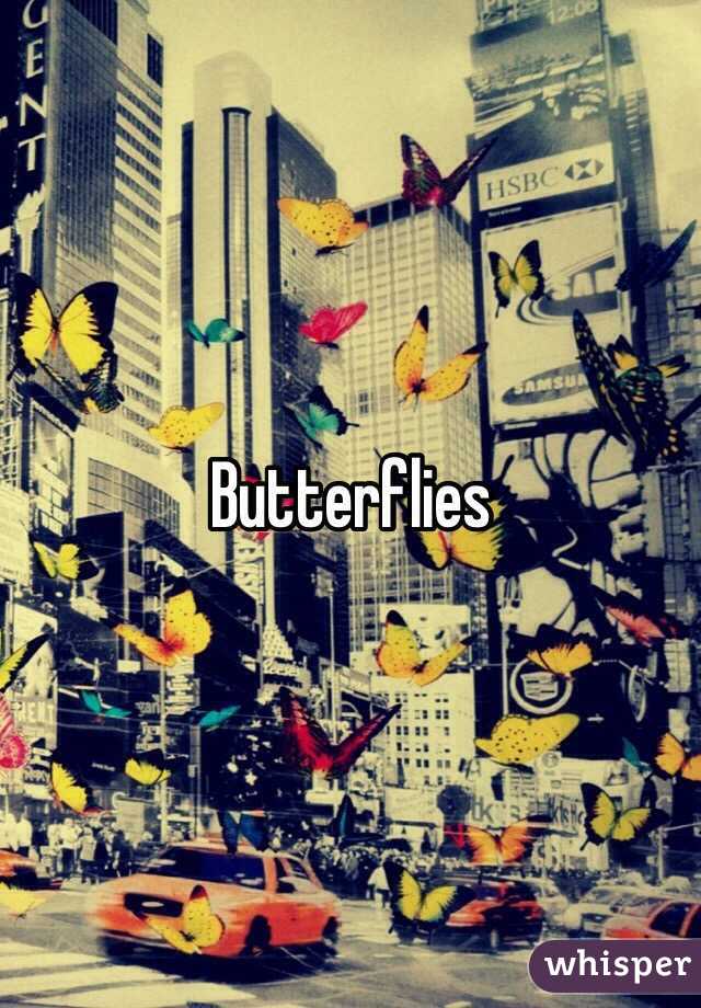 Butterflies 