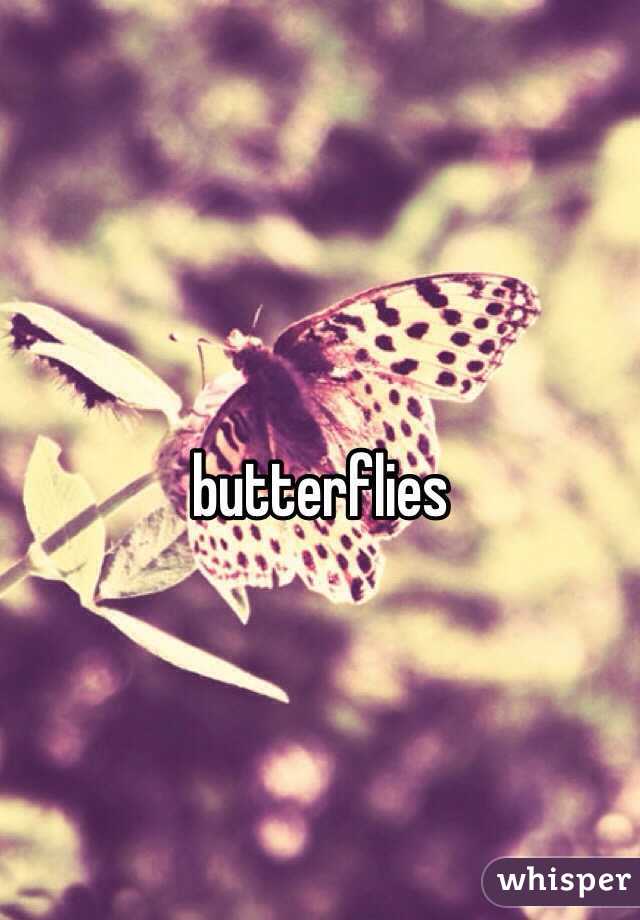 butterflies 