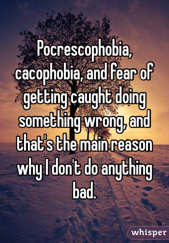 Pocrescophobia, cacophobia, and fear of getting caught doing something wrong, and that's the main reason why I don't do anything bad. 