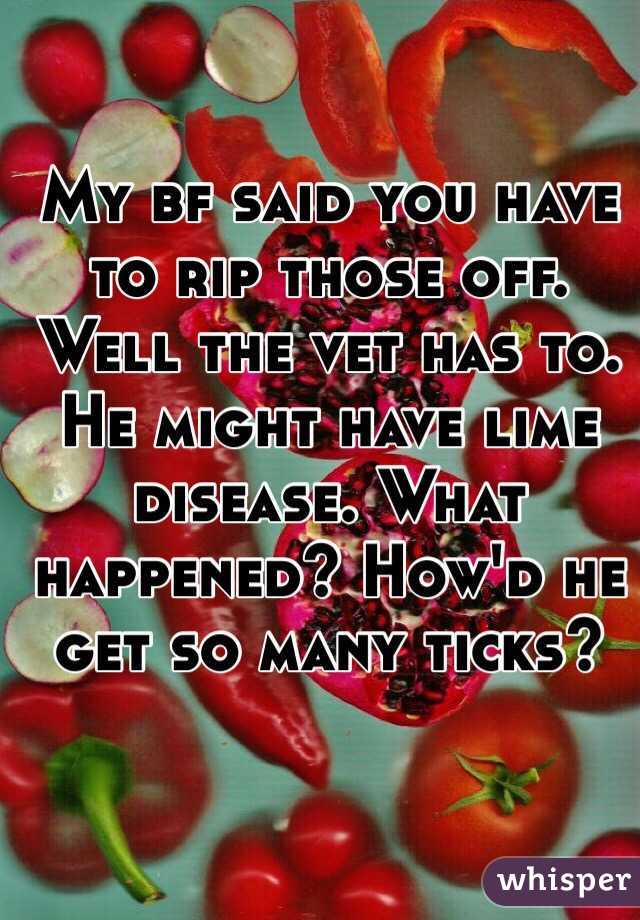 My bf said you have to rip those off. Well the vet has to. He might have lime disease. What happened? How'd he get so many ticks? 