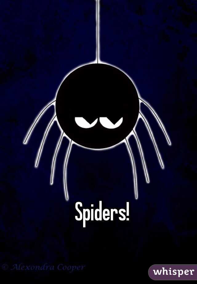 Spiders!