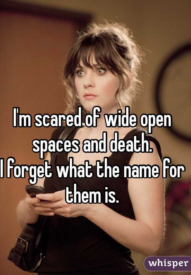 I'm scared of wide open spaces and death. 
I forget what the name for them is.