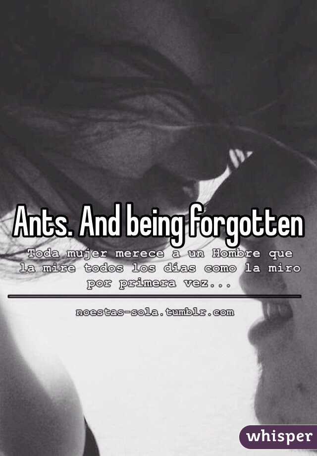 Ants. And being forgotten 